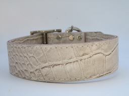 Croco Collar����PMC00017��