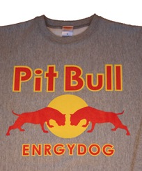 �У���£���졡������ͥå��������åȡ���PMT00030��