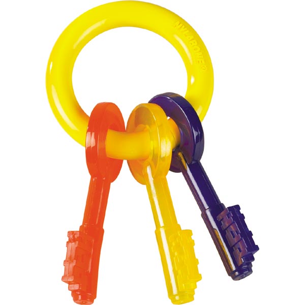 Key-Ring ��PME00022��