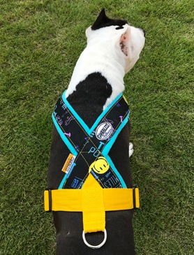 Fleece Harness smilePMC00091