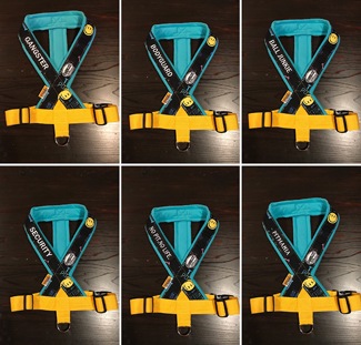 Fleece Harness smilePMC00091