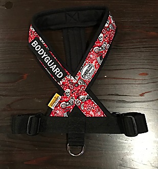 �ե꡼���ϡ��ͥ����ѥ�åڥ󡡡�FH������