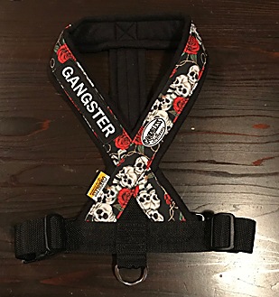 �ե꡼���ϡ��ͥ����ѥ�åڥ󡡡�FH������