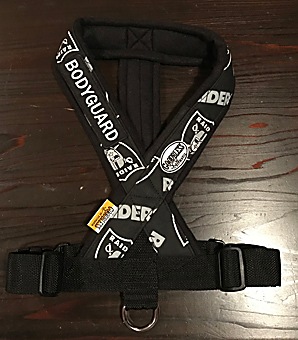 �ե꡼���ϡ��ͥ����ѥ�åڥ󡡡�FH������