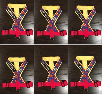 �ե꡼���ϡ��ͥ����ѥ�åڥ󡡡�FH������