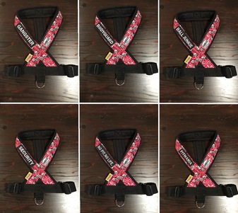 �ե꡼���ϡ��ͥ����ѥ�åڥ󡡡�FH������