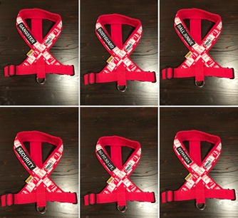 �ե꡼���ϡ��ͥ����ѥ�åڥ󡡡�FH������