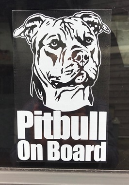 �ԥåȥ֥� Car Window Sticker #5��PMS00129��