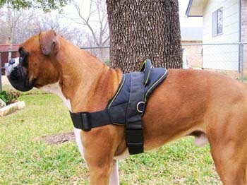 Extra Strong Nylon Harness ��PMC00047��