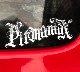 pitmaniaX Sticker #1 ��PMS00131��
