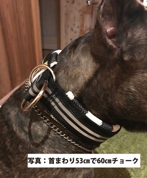 GOODBLESS Cushion Choke chain��PMC00084��