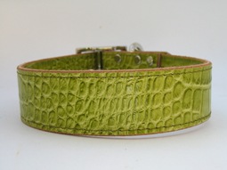 Croco Collar����PMC00017��