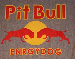 �У���£���졡������ͥå��������åȡ���PMT00030��