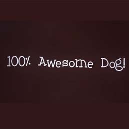 Simple��FoodBowl����PMB00004��