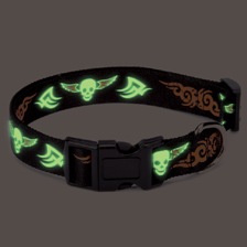 Casual Canine Ruff n' Tuff Dog LeadsPMK00005