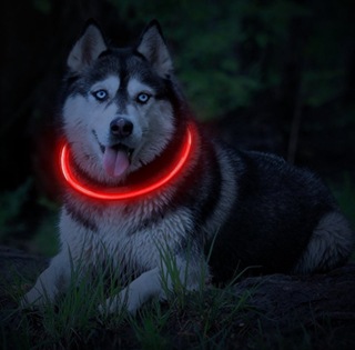 LED/USB COLLARPMK00012