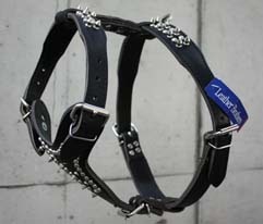 Leather Spike Harness��PMC00034��