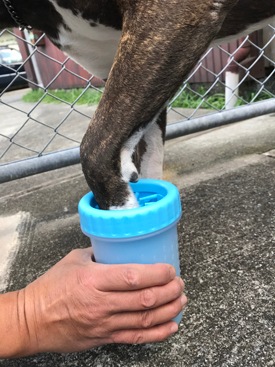 Cleaning Brush CupPMAA0004