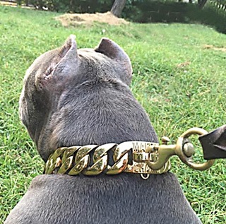 RUGGED CHAINS COLLAR GOLD ��PMC00085������̵����