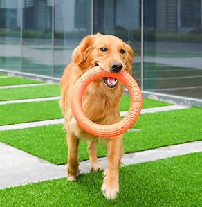 Training Ring toysPMK00013