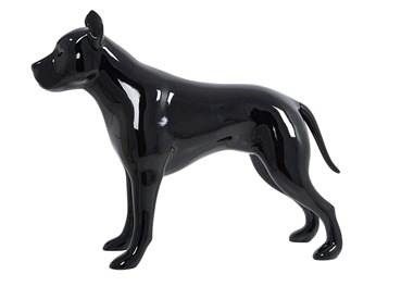 Pit Mannequin Shiny BlackPMH00003