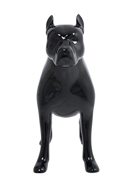 Pit Mannequin Shiny BlackPMH00003