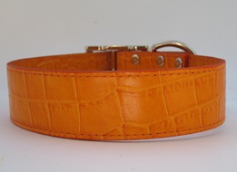 Croco Collar����PMC00017��