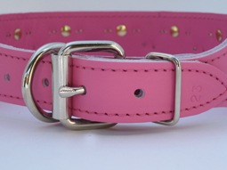 2inch Spike Collar����PMC00019��