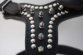 Leather Spike Harness��PMC00034��