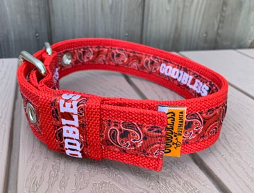 40mm GOODBLESS collar��lead set��PMCset1��