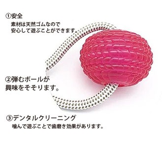 Molar Bite Toy PME00041