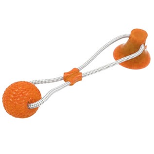 Molar Bite Toy PME00041