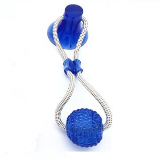 Molar Bite Toy PME00041