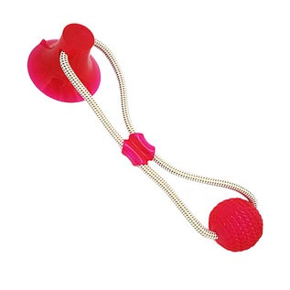 Molar Bite Toy PME00041