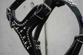 Leather Spike Harness��PMC00034��