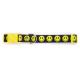Smiley Face Dog Collar��PMC00079��