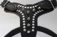 Leather Spike Harness��PMC00034��