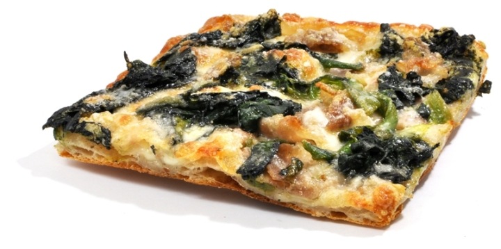 ���������ڤȤۤ������Υԥåĥ����쥮��顼��������14cm��14cm