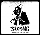 SLANG / Devastation in the void