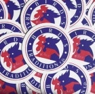 COMEBACK MY DAUGHTERS / BIRD'S TRADITION e.p.