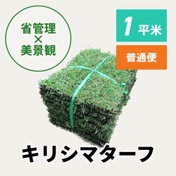 キリシマターフ（1平米）【普通便/送料込】