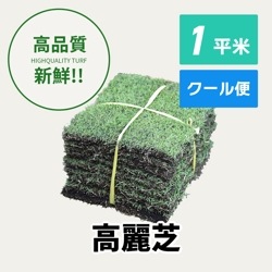 高麗芝（1平米）【クール便/送料込】