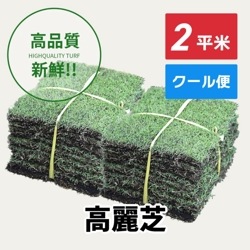 高麗芝（2平米）【クール便/送料込】