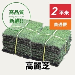 高麗芝（2平米）【普通便/送料込】