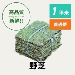 野芝（1平米）【普通便/送料込】