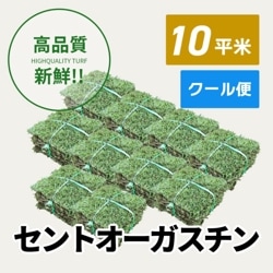 セントオーガスチン（10平米）【クール便/送料込】
