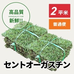 セントオーガスチン（2平米）【普通便/送料込】