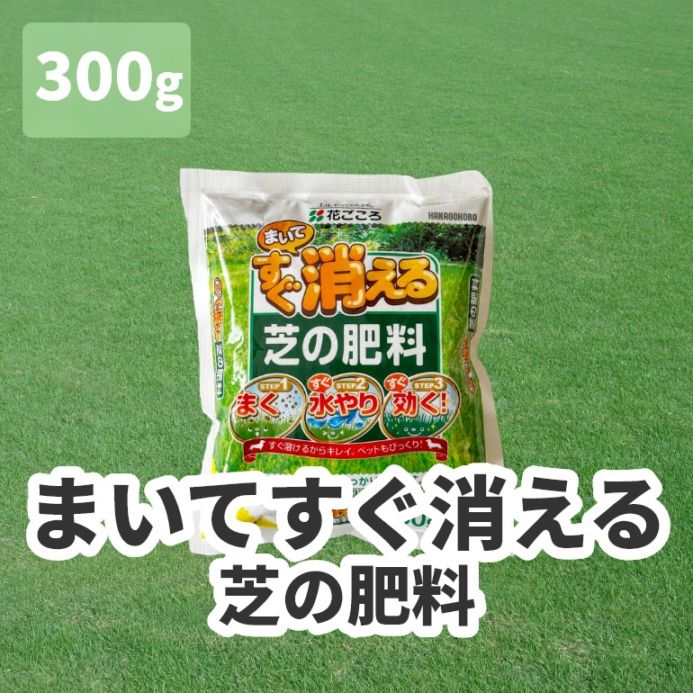 まいてすぐ消える芝の肥料 300グラム×1袋【送料無料】