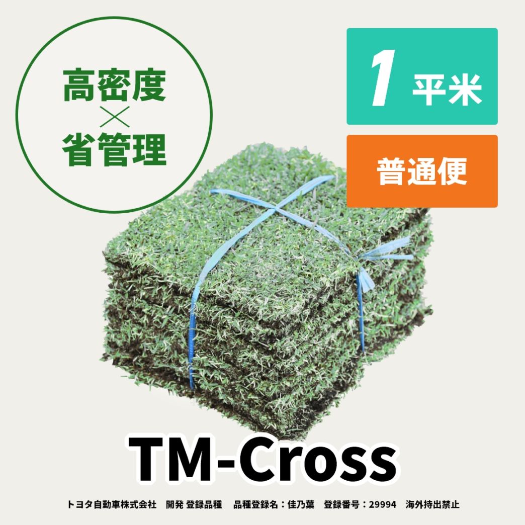 TM-Cross(1平米)【普通便/送料込】