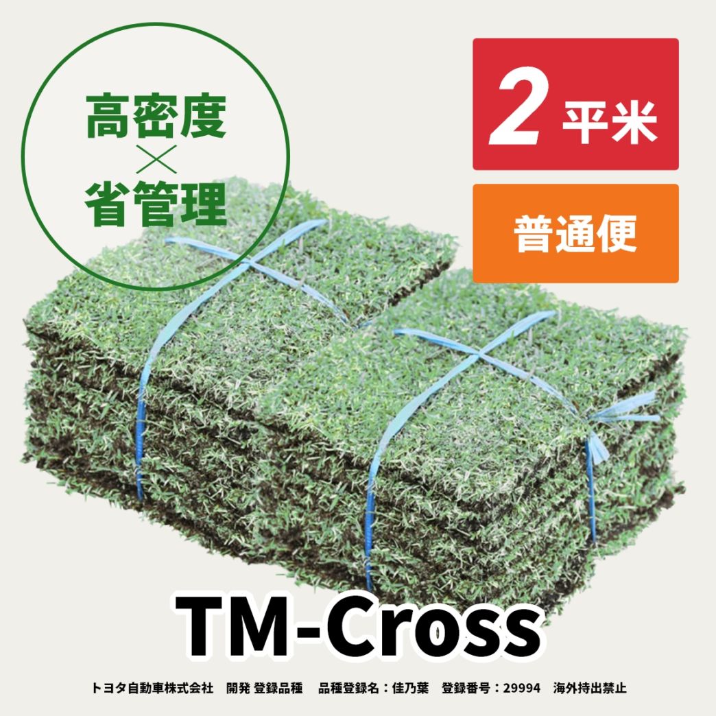 TM-Cross(2平米)【普通便/送料込】